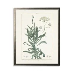 Kirkland's Home Greenery Botanical Ii Pewter Framed Art Print- Framed Art