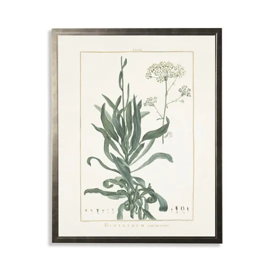 Kirkland's Home Greenery Botanical Ii Pewter Framed Art Print- Framed Art