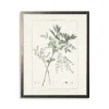 Kirkland's Home Greenery Botanical Iv Pewter Framed Art Print- Framed Art