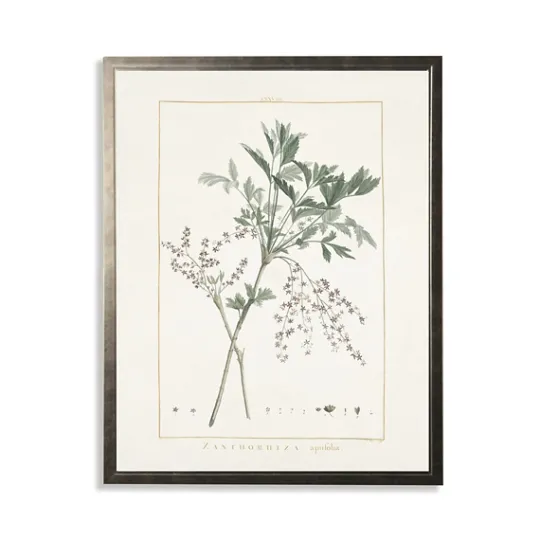 Kirkland's Home Greenery Botanical Iv Pewter Framed Art Print- Framed Art
