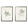 Kirkland's Home Greenery Botanicals I Framed Art Prints, Set Of 2- Framed Art