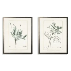 Kirkland's Home Greenery Botanicals I Framed Art Prints, Set Of 2- Framed Art