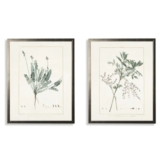 Kirkland's Home Greenery Botanicals I Framed Art Prints, Set Of 2- Framed Art