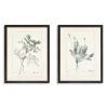 Kirkland's Home Greenery I Framed Art Prints, Set Of 2- Framed Art