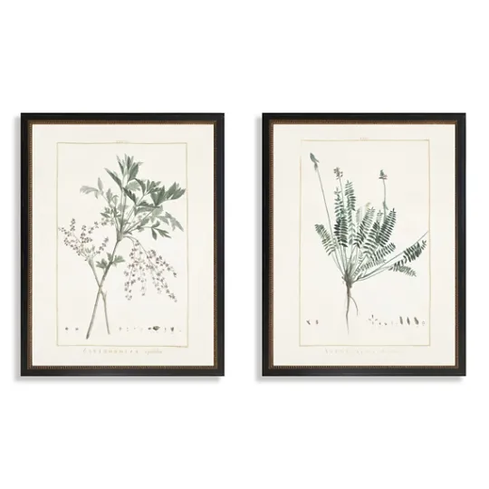 Kirkland's Home Greenery I Framed Art Prints, Set Of 2- Framed Art