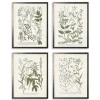 Kirkland's Home Greenery On Cream Back Framed Art Prints, Set Of 4- Framed Art