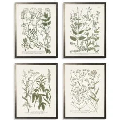 Kirkland's Home Greenery On Cream Back Framed Art Prints, Set Of 4- Framed Art