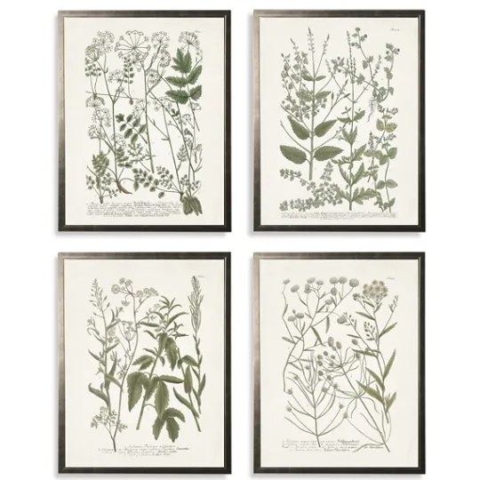 Kirkland's Home Greenery On Cream Back Framed Art Prints, Set Of 4- Framed Art