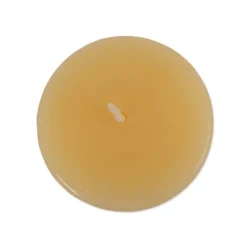 Kirkland's Home Happy Day Honey Votive Candles, Set Of 8- Candles