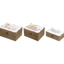 Kirkland's Home Harvest Boxes With Metal Covers, Set Of 3- Decorative Accents
