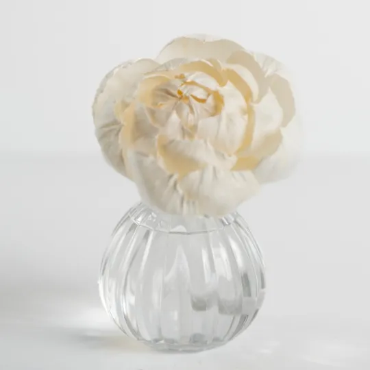 Kirkland's Home Hello Gorgeous Flower Petal Diffuser Set- Home Fragrance