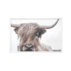 Kirkland's Home Highland Cow Framed Art Print- Framed Art