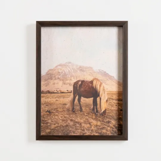 Kirkland's Home Horse On Range Framed Art Print- Framed Art