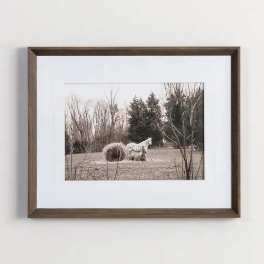 Kirkland's Home Horse Photography Framed Art Print- Framed Art