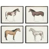 Kirkland's Home Horses Framed Art Prints, Set Of 4- Framed Art