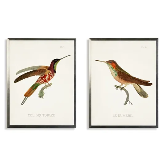 Kirkland's Home Hummingbirds I Framed Art Prints, Set Of 2- Framed Art
