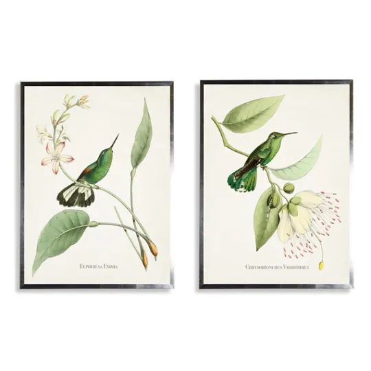 Kirkland's Home Hummingbirds On Flowers 2-Pc. Framed Art Print Set- Framed Art