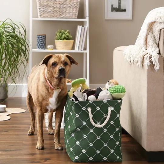Kirkland's Home Hunter Paw Trellis Rectangle Basket, 17.5 In.- Baskets & Boxes