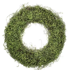 Kirkland's Home Intertwined Vine S Wreath- Wreaths