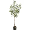 Kirkland's Home Italian Olive Tree In Black Nursery Planter, 5 Ft.- Trees & Topiaries