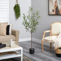 Kirkland's Home Italian Olive Tree In Black Nursery Planter, 5 Ft.- Trees & Topiaries