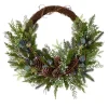Kirkland's Home Juniper And Evergreen Vine Wreath- Wreaths