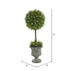 Kirkland's Home Juniper Ball Tree In Pedestal Urn- Trees & Topiaries