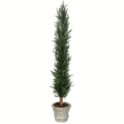 Kirkland's Home Large Cedar Tree In Mossy White Planter, 60 In.- Trees & Topiaries