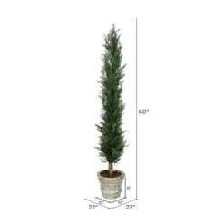 Kirkland's Home Large Cedar Tree In Mossy White Planter, 60 In.- Trees & Topiaries