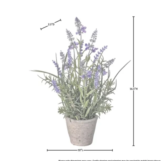 Kirkland's Home Lavender Plant In Speckled Cement Planter- Arrangements & Greenery