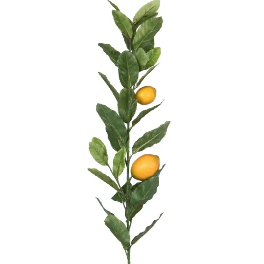Kirkland's Home Lemon Tree Branch Stem Spray, 48 In.- Stems & Bouquets