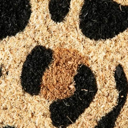 Kirkland's Home Leopard Print Coir Doormat- Doormats