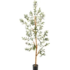 Kirkland's Home Lucky Olive Tree In Nursery Planter, 54 In.- Trees & Topiaries