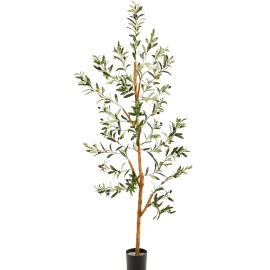 Kirkland's Home Lucky Olive Tree In Nursery Planter, 54 In.- Trees & Topiaries