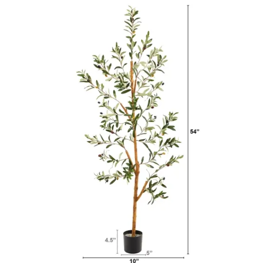 Kirkland's Home Lucky Olive Tree In Nursery Planter, 54 In.- Trees & Topiaries