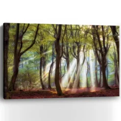 Kirkland's Home Majestic Morning Giclee Canvas Art Print- Canvas Art