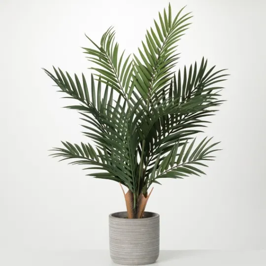 Kirkland's Home Majestic Palm Tree In Gray Planter- Trees & Topiaries