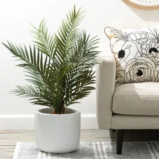 Kirkland's Home Majestic Palm Tree In Gray Planter- Trees & Topiaries