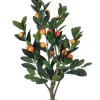 Kirkland's Home Mandarin Orange Tree In Black Planter- Trees & Topiaries