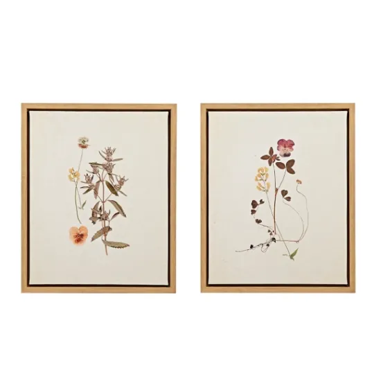 Kirkland's Home Martha Stewart French Herbarium Framed Art Set- Framed Art