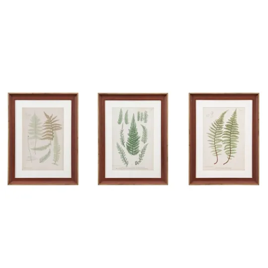 Kirkland's Home Martha Stewart Lady Fern Framed Art Print Set- Framed Art
