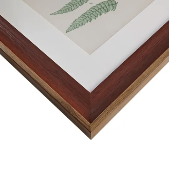 Kirkland's Home Martha Stewart Lady Fern Framed Art Print Set- Framed Art