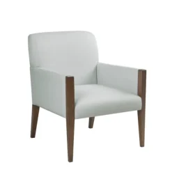 Kirkland's Home Martha Stewart Wood Trim Accent Chair- Accent Chairs