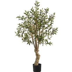 Kirkland's Home Mediterranean Olive Tree In Nursery Planter- Trees & Topiaries
