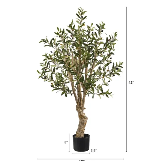 Kirkland's Home Mediterranean Olive Tree In Nursery Planter- Trees & Topiaries