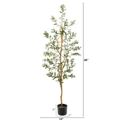 Kirkland's Home Mediterranean Olive Tree In Black Planter, 70 In.- Trees & Topiaries
