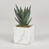 Kirkland's Home Mini Aloe Plant In White Marble Ceramic Cube- Arrangements & Greenery