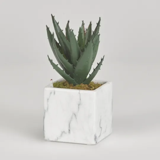 Kirkland's Home Mini Aloe Plant In White Marble Ceramic Cube- Arrangements & Greenery