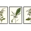 Kirkland's Home Minimal Soft Flowers Framed Art Prints, Set Of 3- Framed Art