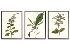 Kirkland's Home Minimal Soft Flowers Framed Art Prints, Set Of 3- Framed Art